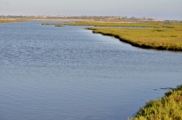 Bolsa Chica Wetlands (4)