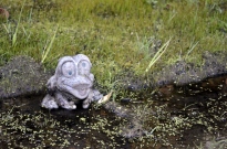 Random frog statue