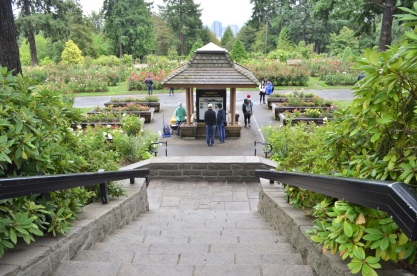 Portland Rose Garden, part 2 (3)